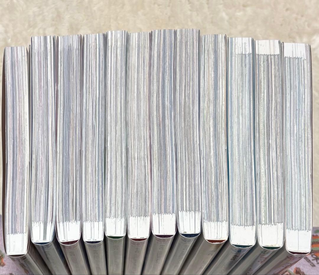 ある日、姫になってしまった件について 全12巻セット