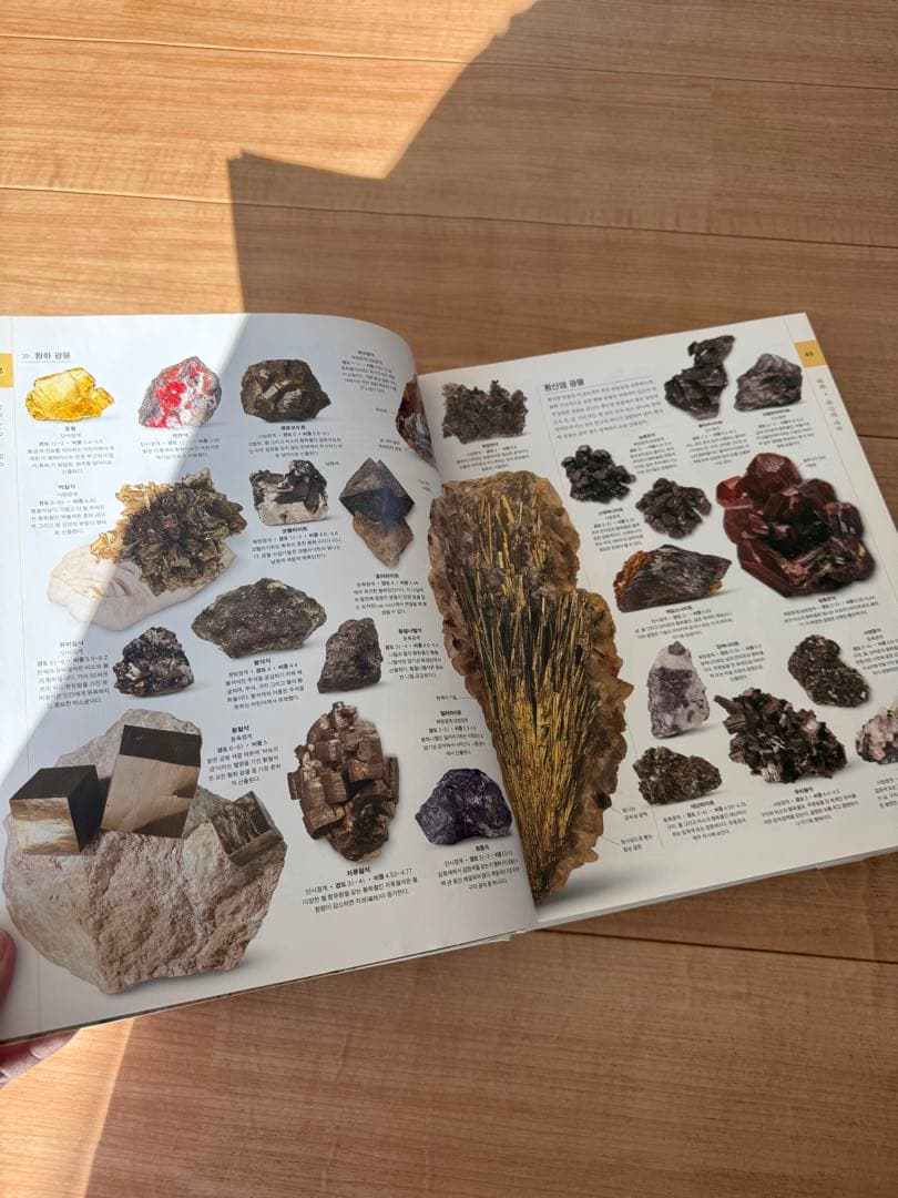 韓国語　自然史