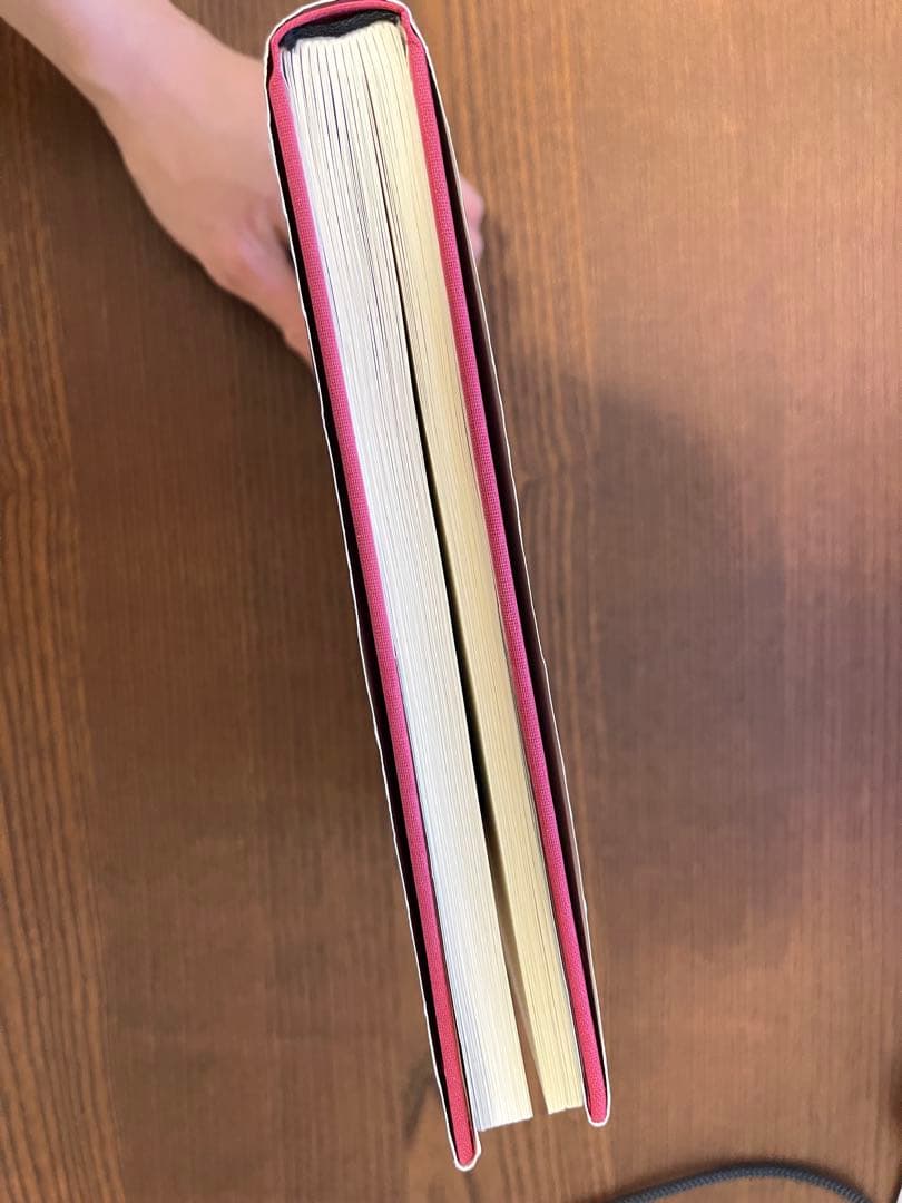 Saul Leiter Early Color ソール・ライター写真集