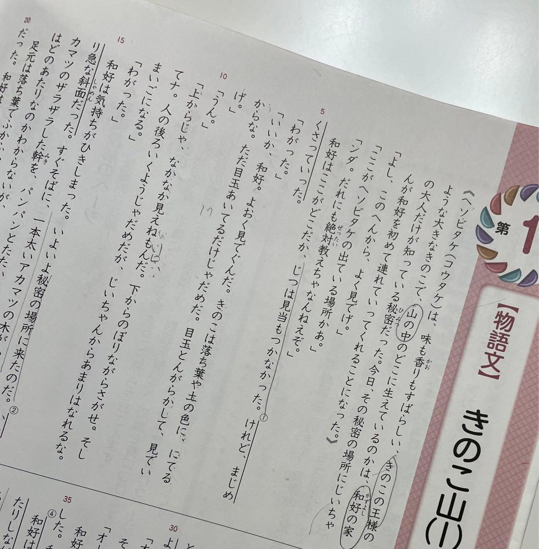 名進研　5年生　前期　国語　コアマスター