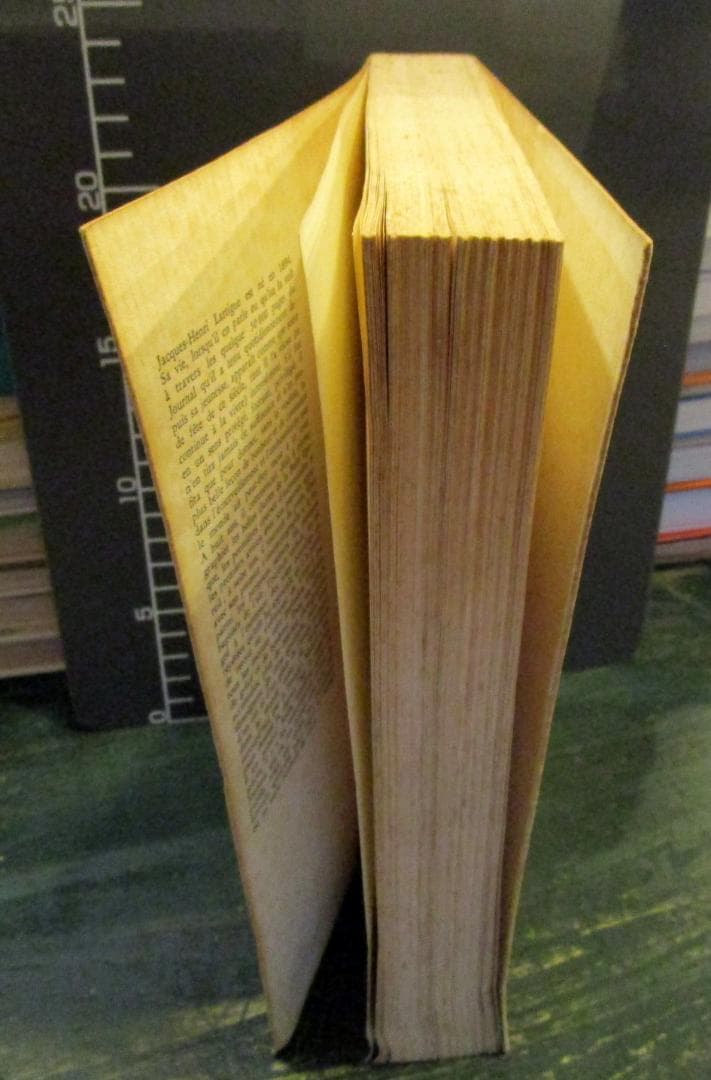 Mémoires sans mémoire　ジャック＝アンリ・ラルティーグ　仏語