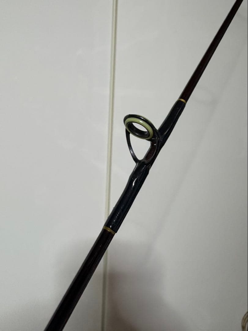 NFT バスライズ EX 2551 トップ キャスティングロッド old