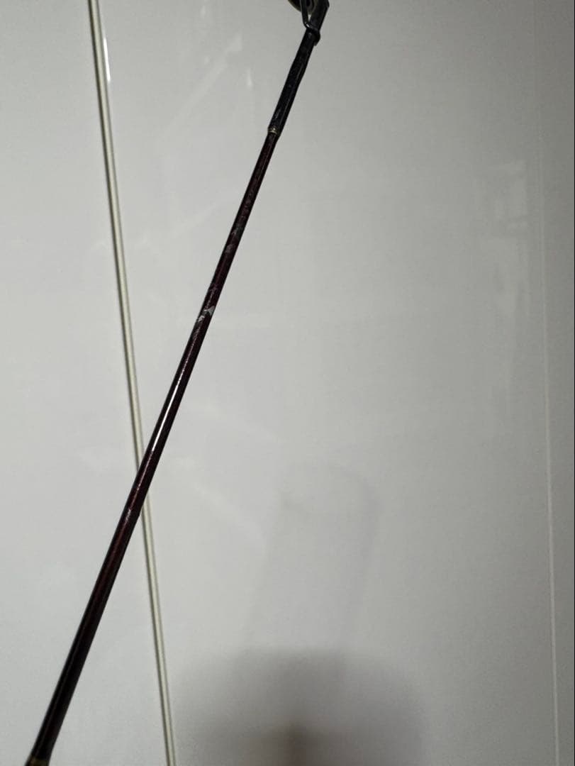 NFT バスライズ EX 2551 トップ キャスティングロッド old