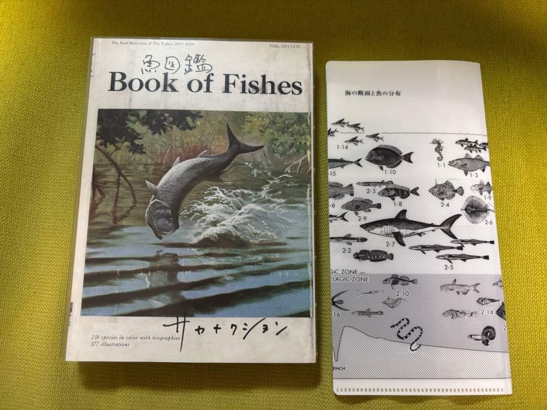 サカナクション　魚図鑑　2CD1DVD チケットホルダー付き
