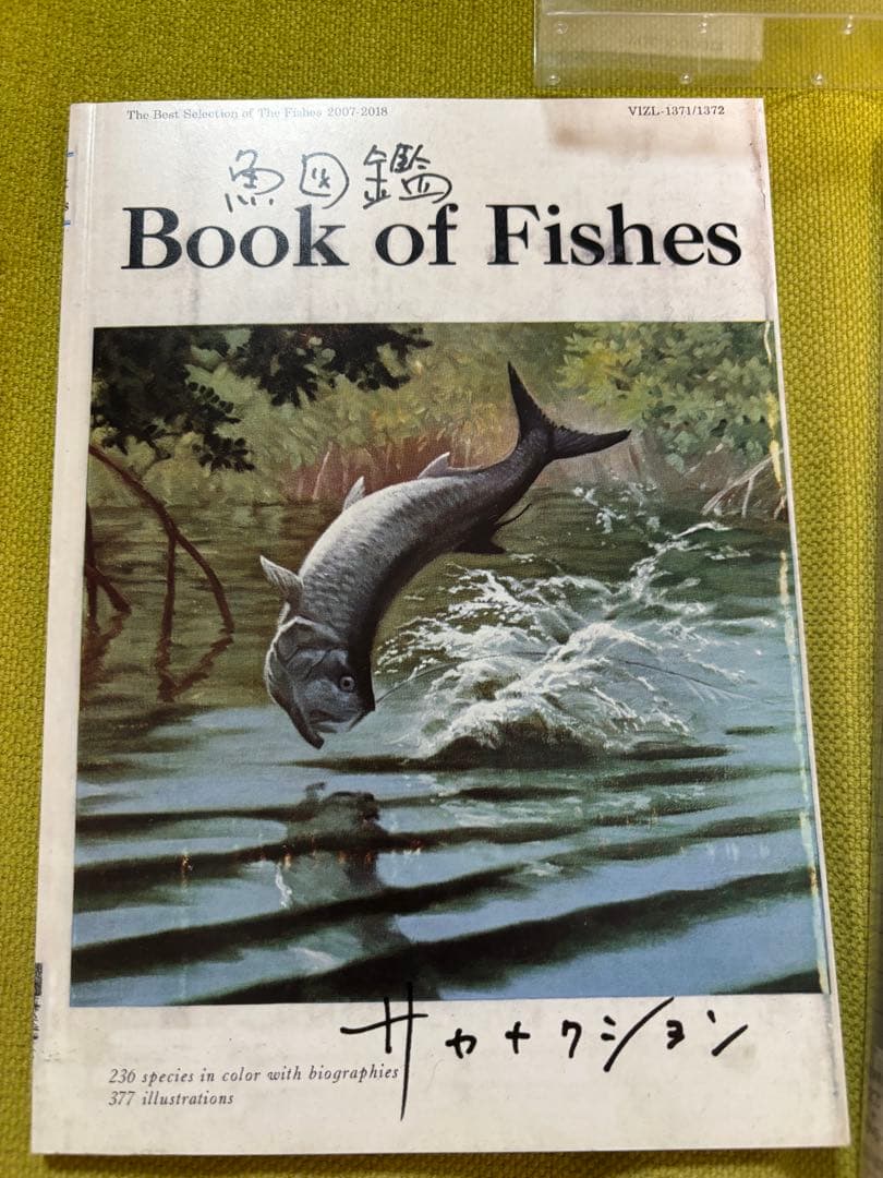 サカナクション　魚図鑑　2CD1DVD チケットホルダー付き