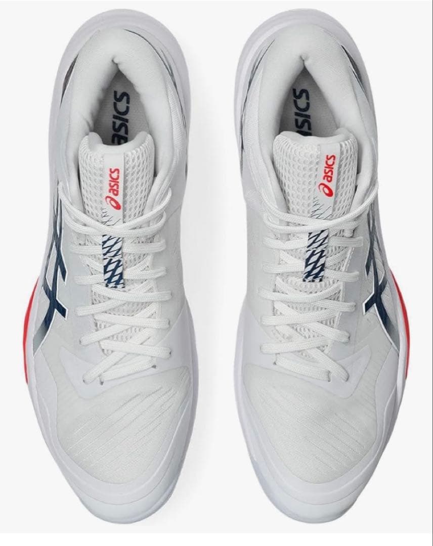 asics(アシックス) メンズ SKY ELITE FF MT 3 25.0㎝