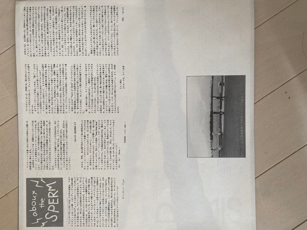 テイスト オブ スパーム/スパーム(80’sインディーズレコード)