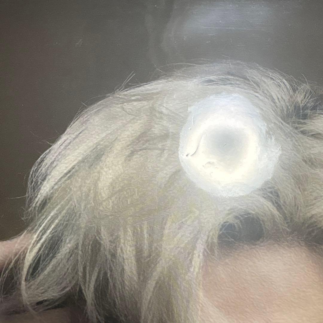 ば*く様 藤井風アナログレコード2点セット LOVE ALL SERVE ALL