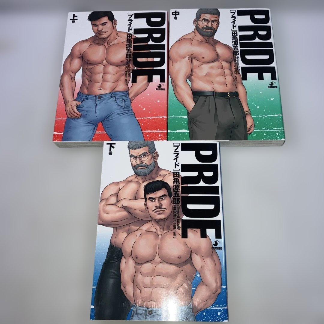 PRIDE 上中下巻 3冊セット