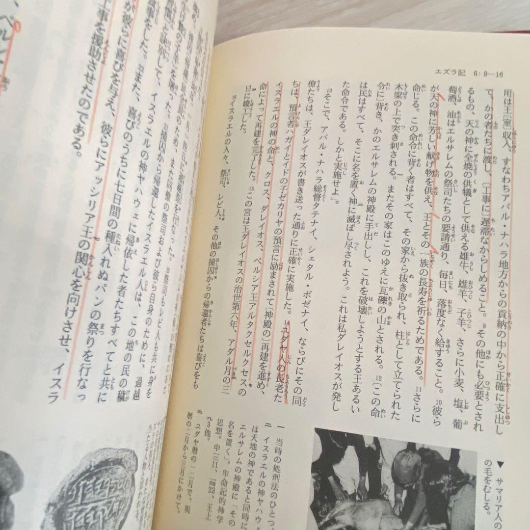 旧約聖書 岩波書店　旧約聖書翻訳委員会訳　全15巻セット