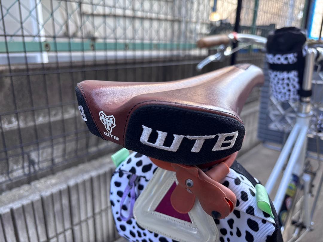 RALEIGH RSM ラレー ミニベロ ブルーラグ カスタム