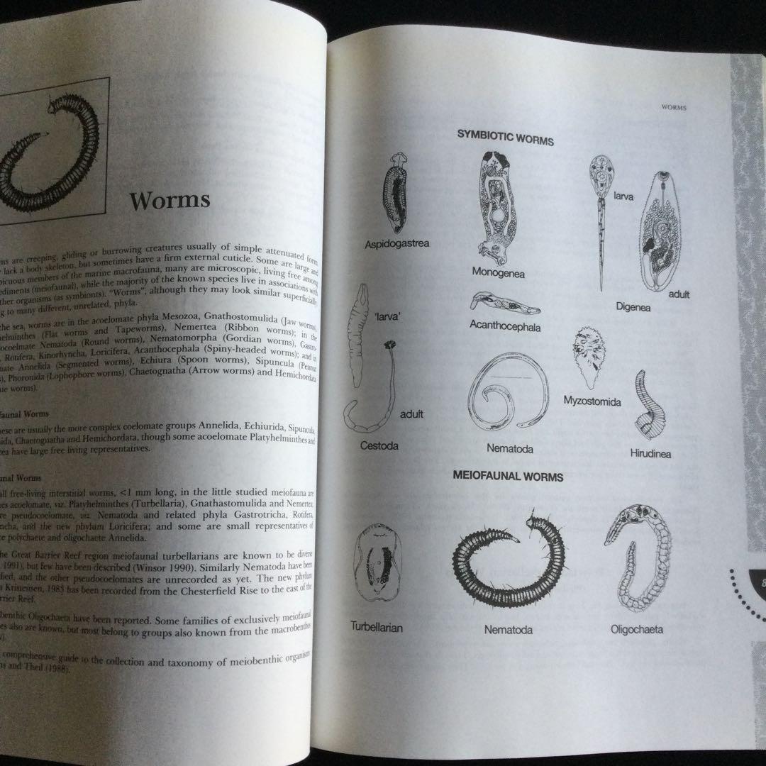 コーラルリーフ　珊瑚礁　生物　洋書　専門書　貝　魚　サンゴ　グレートバリアリーフ