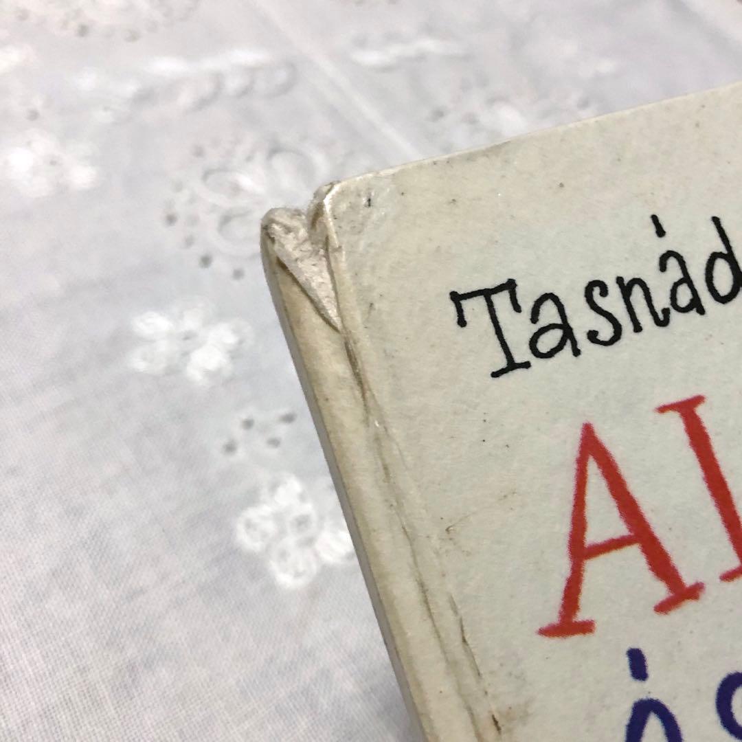 RV53洋書古書 ハンガリー語絵本☆ レイク・カーロイ