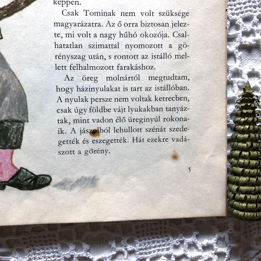 RV53洋書古書 ハンガリー語絵本☆ レイク・カーロイ