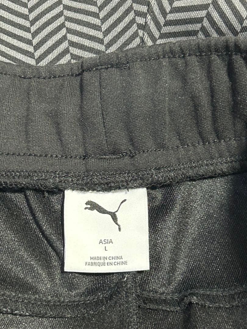 PUMAメンズセットアップLサイズ