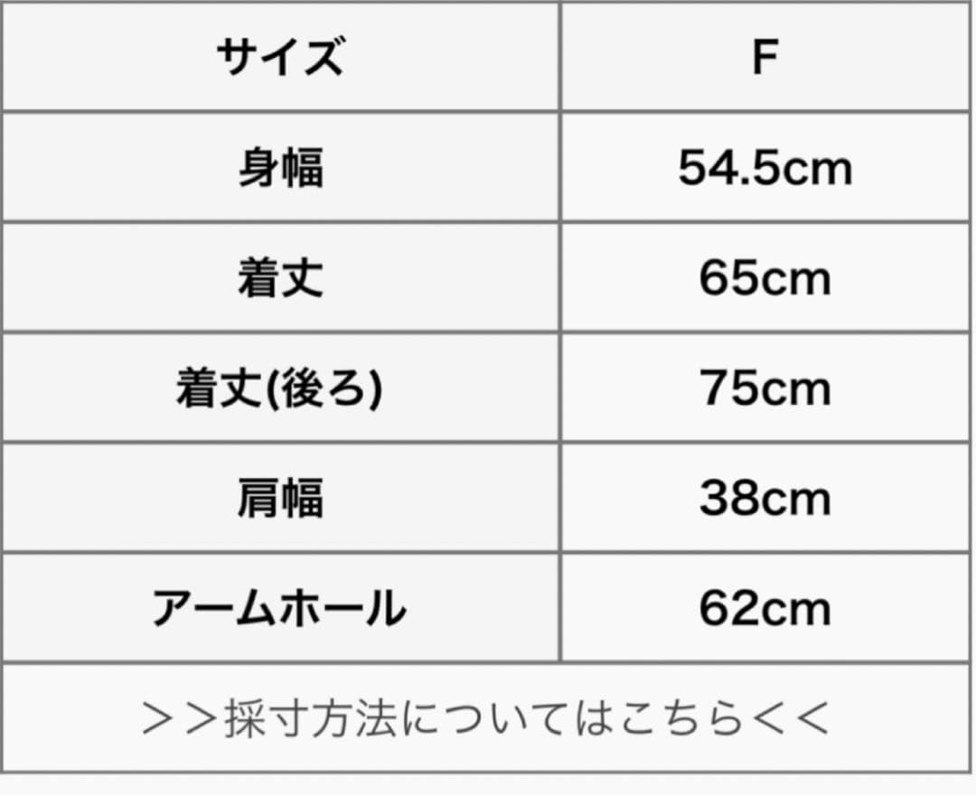 【新品、未使用】 solamonat モッツァレラストレッチ Vネックベスト