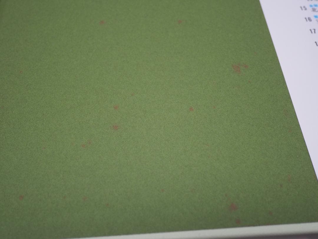 日本美術全集11 神道の美術 春日/日吉/熊野