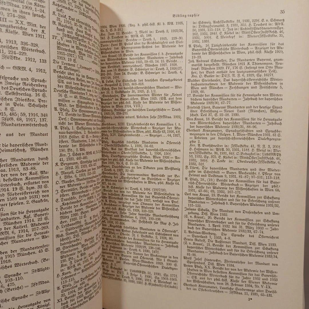 洋書 バイエルン方言の辞典 ドイツ語　言語学　ひげ文字