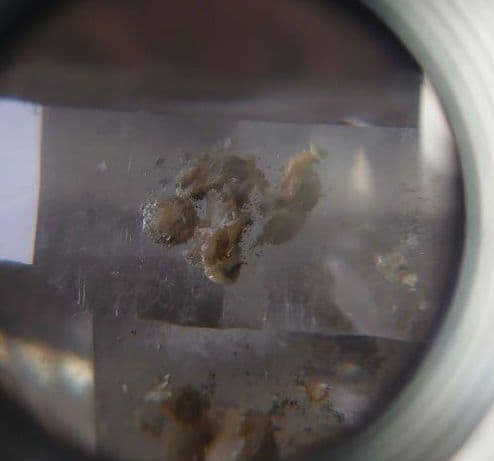 パナスケイラ鉱山水晶③　原石