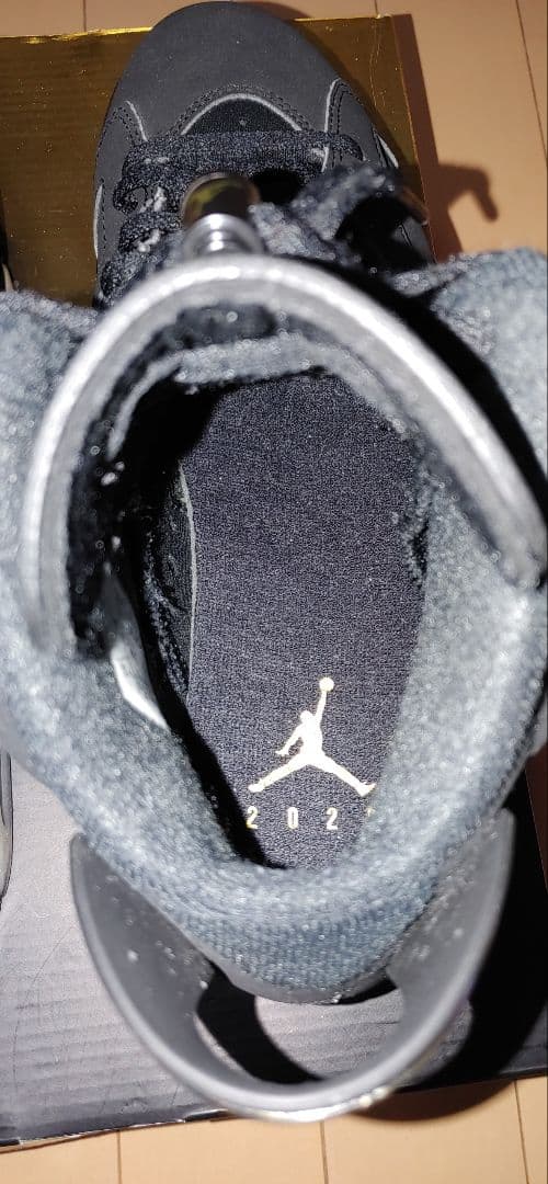 ナイキ AIRJORDAN 6 レトロ DMP
