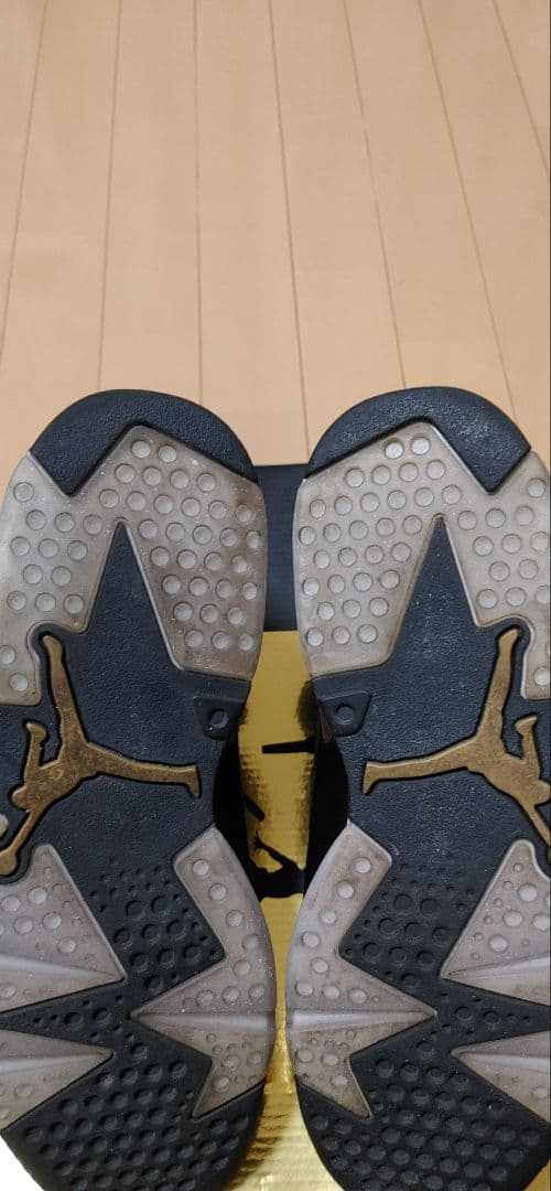 ナイキ AIRJORDAN 6 レトロ DMP