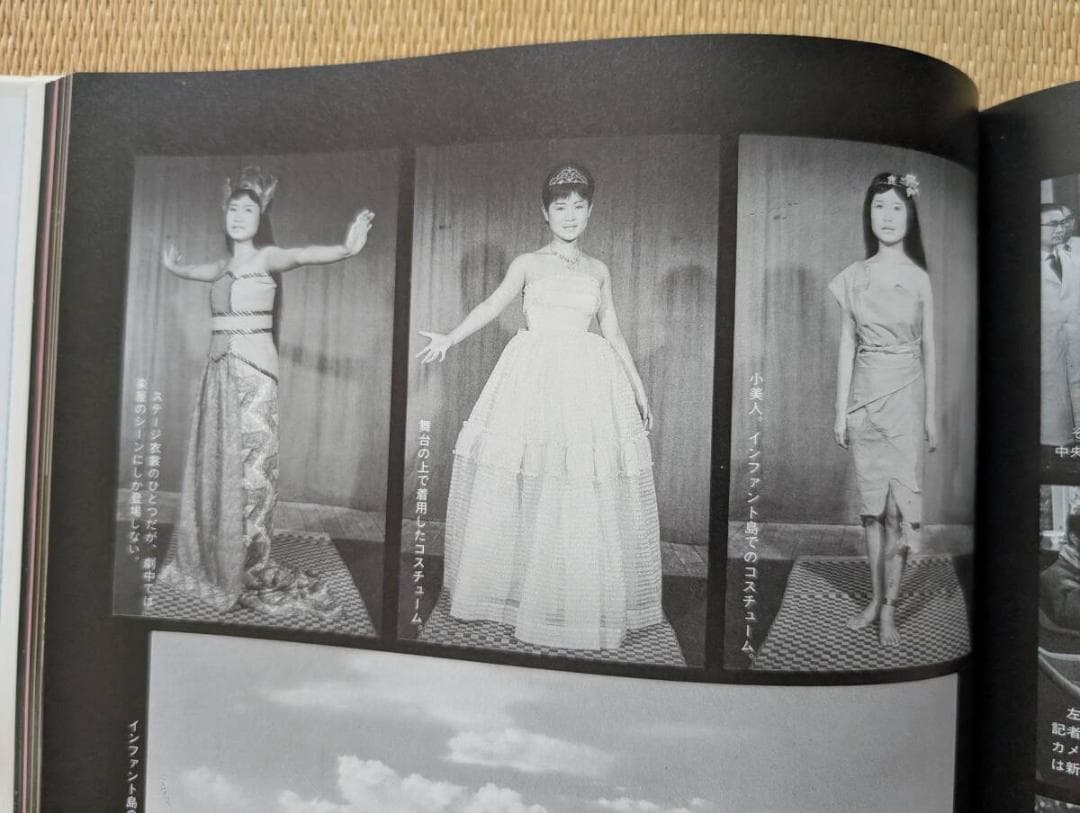 東宝特撮怪獣映画大鑑　水野久美　藍とも子　獣人雪男　怪獣怪人