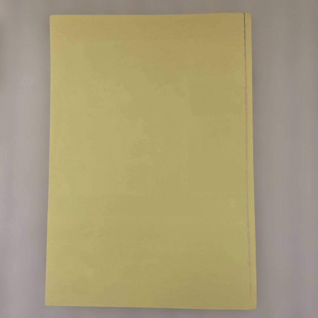 レア ニンテンドードリーム ファミ通 付録 シール ゼルダの伝説