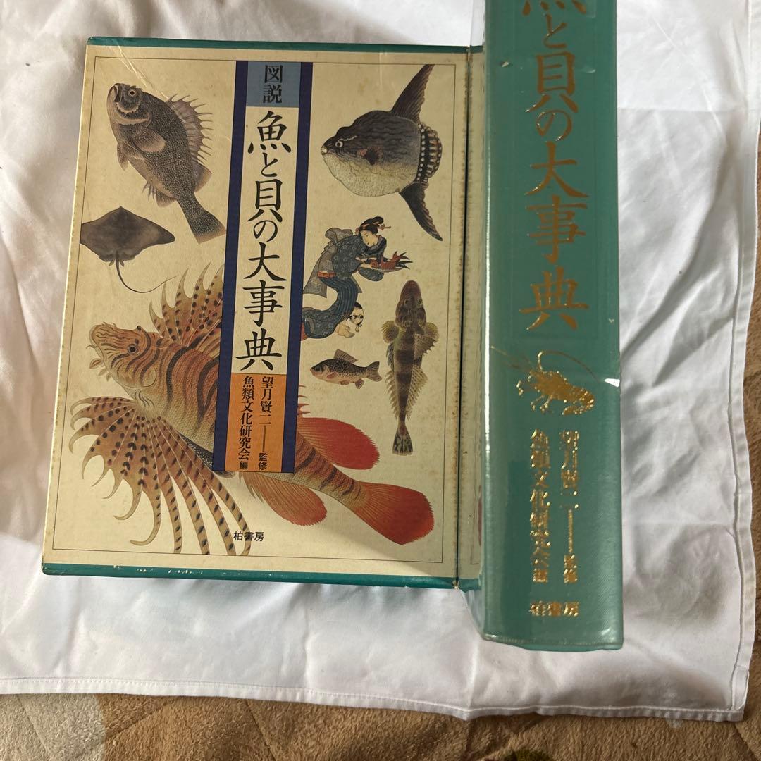 図鑑 色と貝の大事典