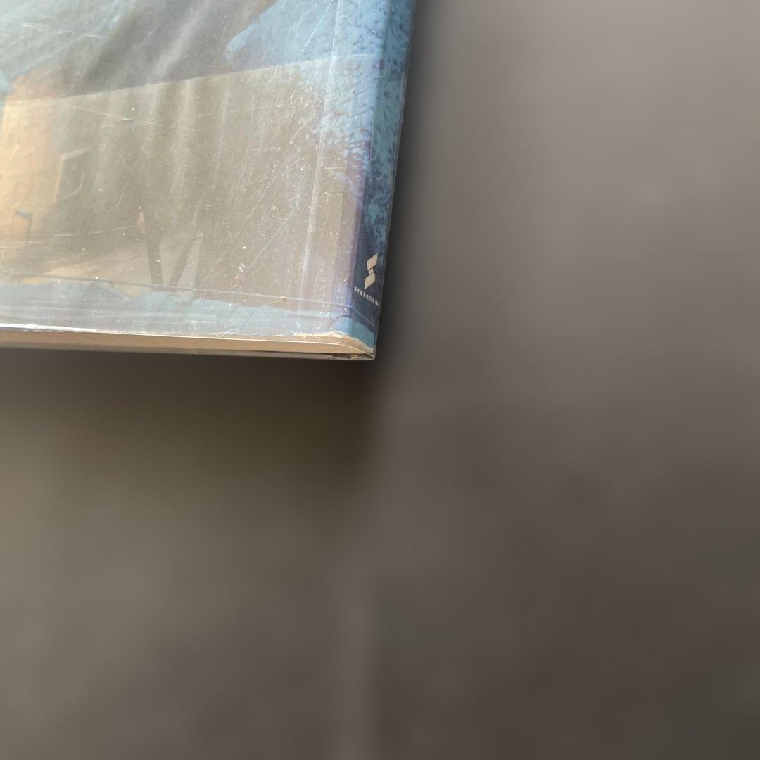 LIME WORKS 畠山直哉 1996年 初版 シナジー幾何学版