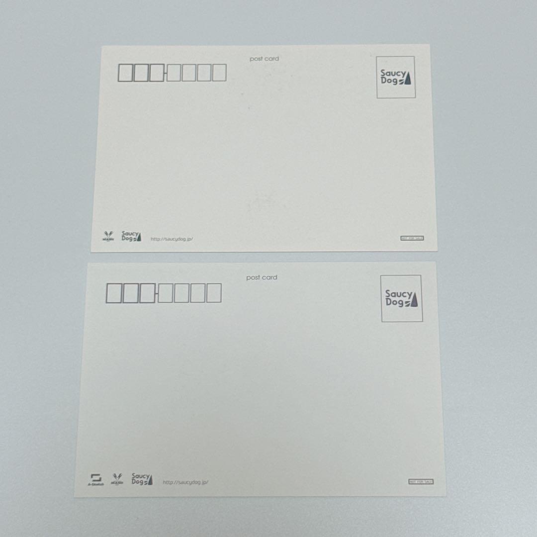 Saucy Dog CD ポストカード グッズ セット