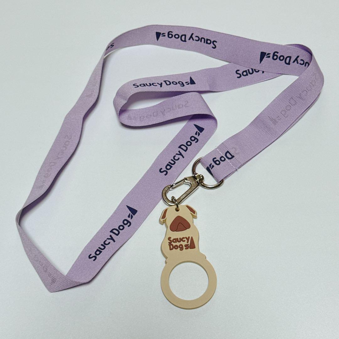 Saucy Dog CD ポストカード グッズ セット