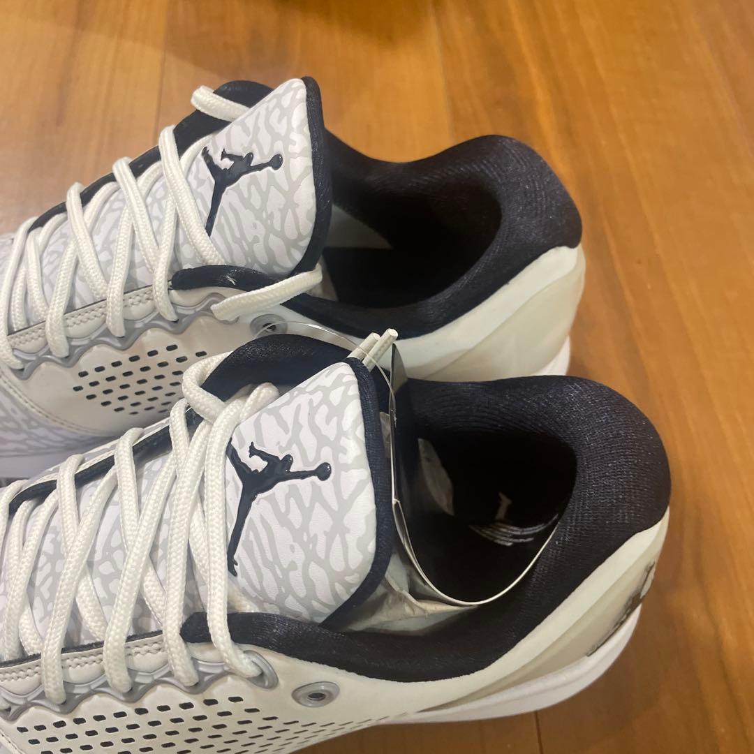 NIKE JORDAN TRAINER ジョーダン トレーナー ST G