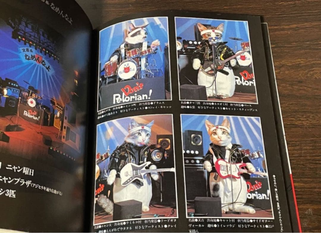 なめんなよ 猫の写真集