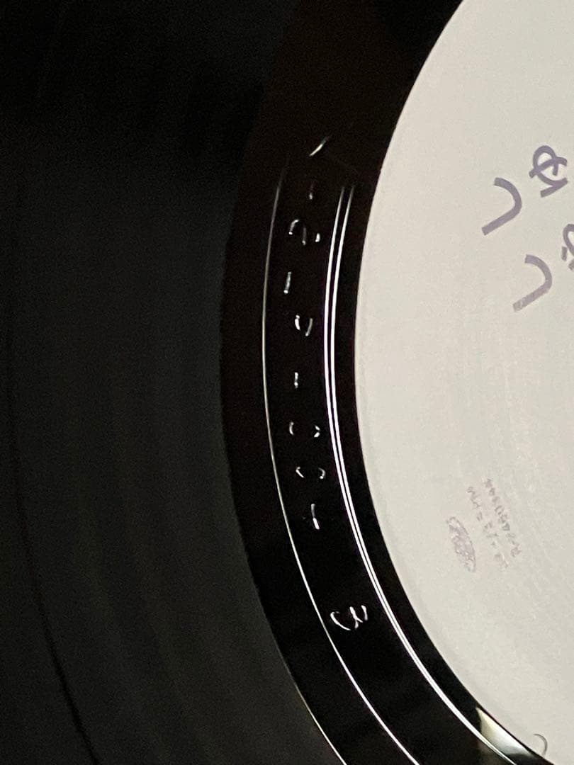 寺尾紗穂 しゅー・しゃいん レコード　中古