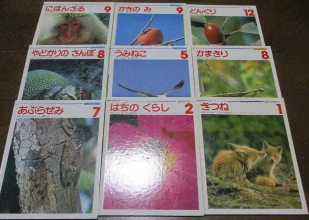 学習絵本 約９０冊まとめ売り 福音館書店 かがくのとも/サンチャイルドビッグ