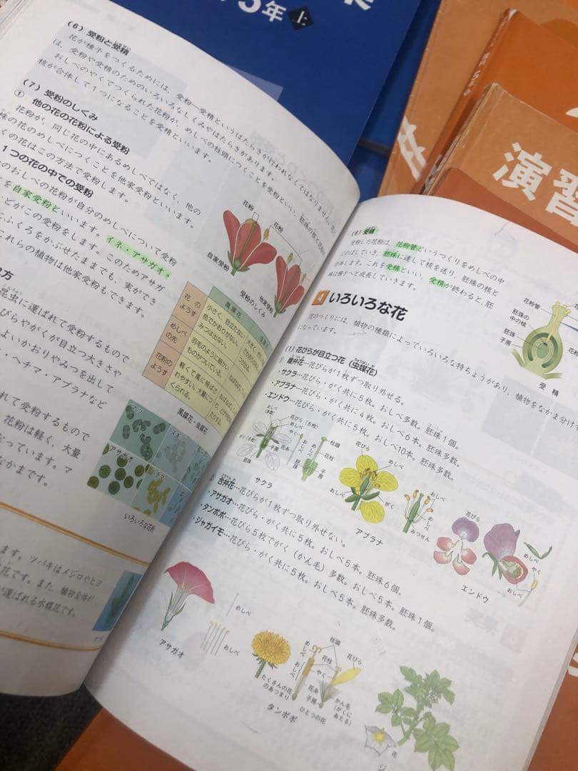 四谷大塚５年予習シリーズ国算理社/演習/漢字上下　２０２３年度版　中古